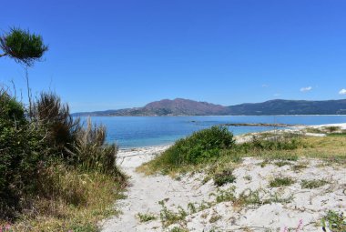 Kumsalda kumullarda bitki örtüsü, körfezde mavi su ve dağ. Carnota, Rias Altas, A Coruna Eyaleti, Galiçya, İspanya.