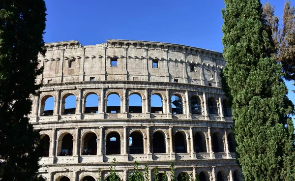 Colosseo Met Bomen Blauwe Lucht Rome Italië — Stockfoto