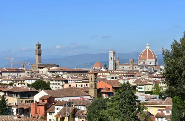 Florence Stadsgezicht Met Het Palazzo Vecchio Cattedrale Santa Maria Del — Stockfoto