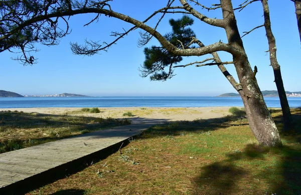 Spiaggia Con Passerella Legno Erba Pino Baia Con Mare Azzurro — Foto Stock