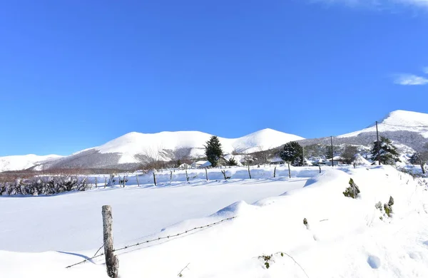 Winter landscape with snowy mountain village, fir trees and blue sky. Piornedo village, Ancares, Lugo, Galicia, Spain.