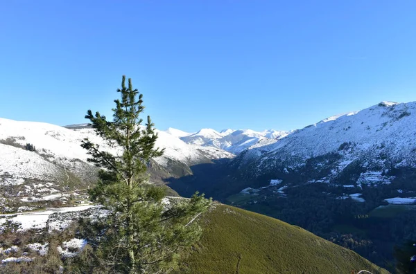 Winter Landscape Snowy Mountains Green Valley Pine Tree Blue Sky — Stock Photo, Image