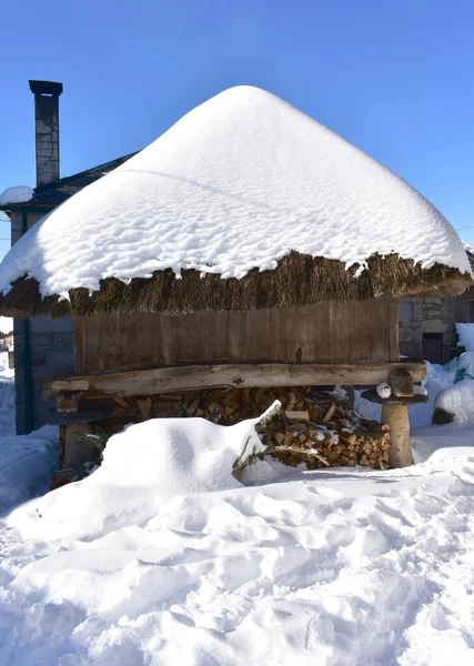 茅葺き屋根の古代の雪の木の穀倉 有名なPiornedo山の村 Ancares Lugo Galicia スペイン — ストック写真