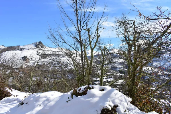 Paisaje Invernal Con Montañas Nevadas Árboles Cielo Azul Ancares Lugo — Foto de Stock