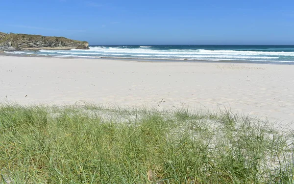Spiaggia Selvaggia Con Erba Dune Sabbia Scogliera Onde Che Rompono — Foto Stock