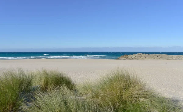 海滩上波涛汹涌 沙丘上的岩石和草地 Arteixo Coruna Galicia Spain — 图库照片