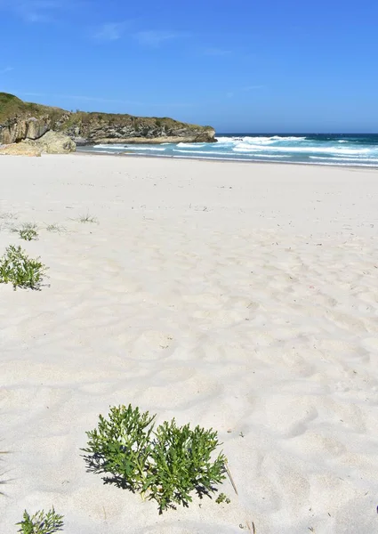 Paisagem Verão Com Praia Areia Branca Mar Selvagem Com Ondas — Fotografia de Stock