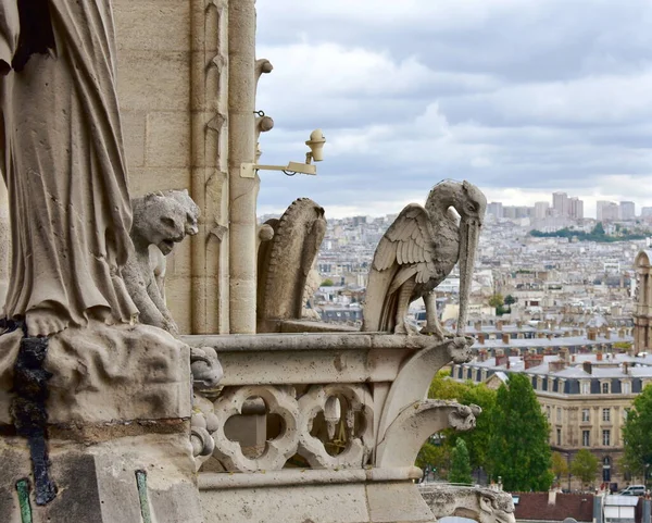 Gárgolas Quimeras Galería Quimeras Catedral Notre Dame París Francia —  Fotos de Stock