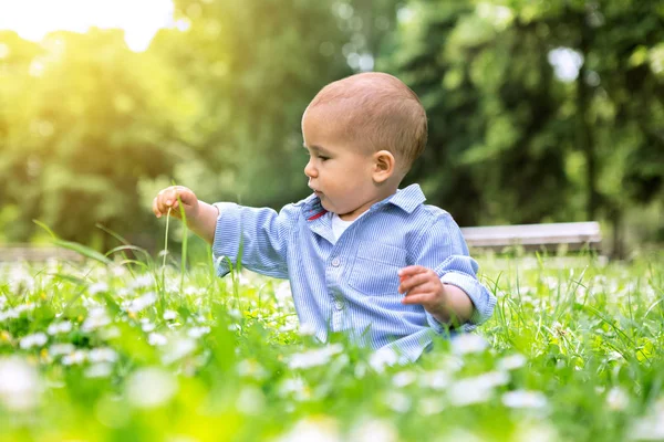 Glücklicher kleiner Junge sitzt auf grünem Gras in einem Park — Stockfoto