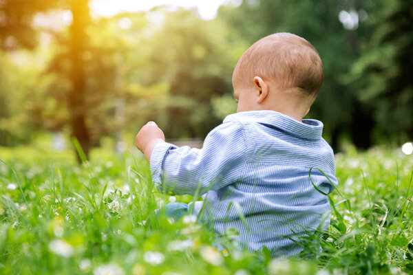 Adorable baby boy playing with flowers in the park