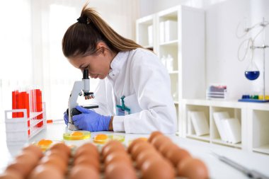 Kalite kontrol gıda numune teftiş uzman