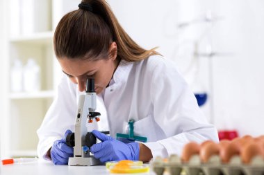 Yumurta örneğini, denetim kalite Laboratuvarı analiz