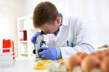 Gıda kalite kontrolü tavuk yumurtası teftiş uzman