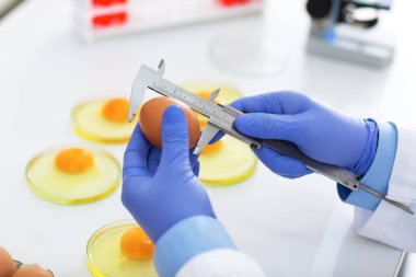 Ölçü birimi boyutu yumurta ve gıda klinik kalite