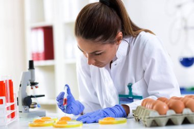 Kimyager laboratuvar örnek için yumurta koyarak ve analiz yapıyor