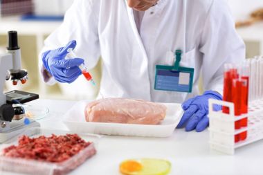 Örnek test tavuk için enjeksiyon ile kimyasal koyarak