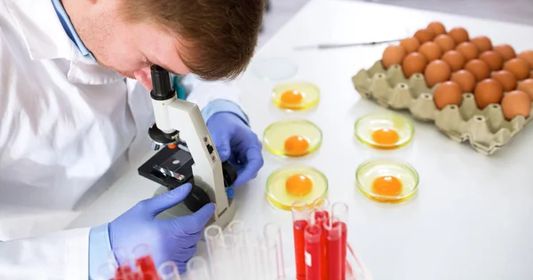 Lekarz robi jaj eksperymentów test w laboratorium — Zdjęcie stockowe