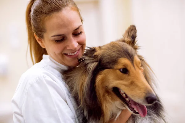 Portrait of beautiful veterinarian with dog — Stock Photo, Image