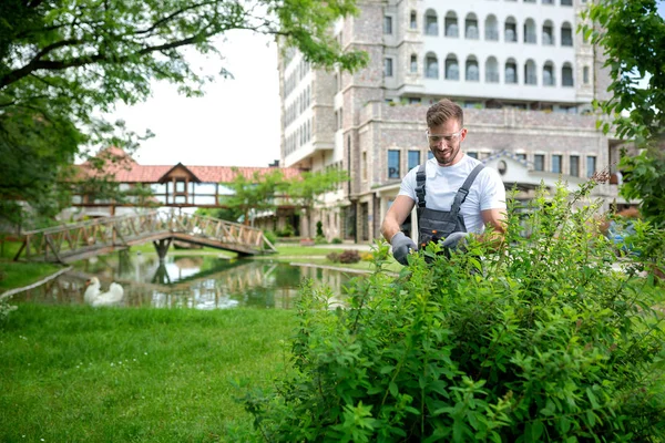 Hårt arbetande trädgårdsmästare hålla buskar i ordning — Stockfoto