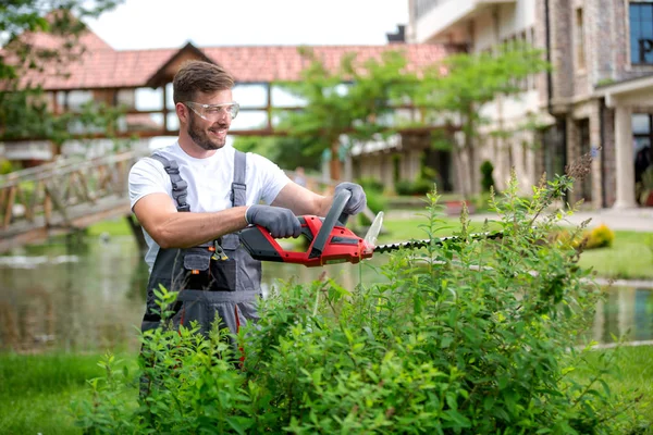 Trädgårdsmästare underhålla buskar med elektrisk såg — Stockfoto