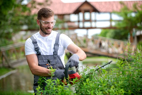 Electrically powered chain saw in hands of an experienced garden — 스톡 사진