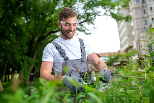 Jardinier pratiquant ses compétences de cultivateur — Photo