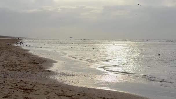 海岸で穏やかな波 — ストック動画