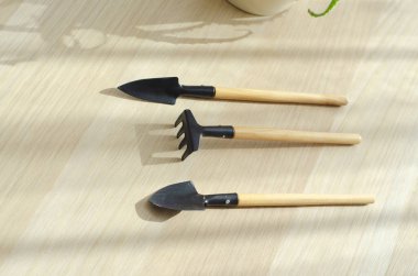 Aloe bitkileri dikmek ve çoğaltmak