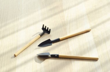 Aloe bitkileri dikmek ve çoğaltmak