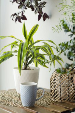 Konforlu Ev Atmosferi Bir fincan serinletici çay ve çeşitli bitkilerle