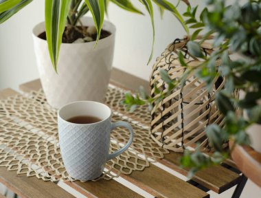 Konforlu Ev Atmosferi Bir fincan serinletici çay ve çeşitli bitkilerle