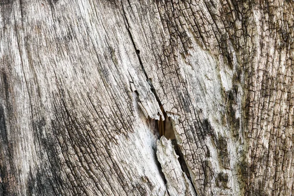 Textura de fondo de madera — Foto de Stock