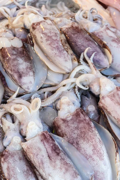Närbild av färsk bläckfisk — Stockfoto