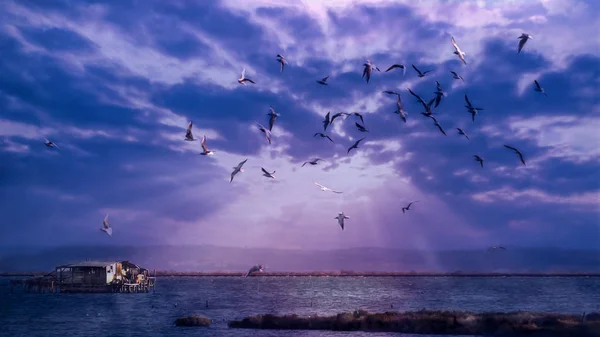 Suyun üzerinde yüzen eski evin gizemli manzarası.