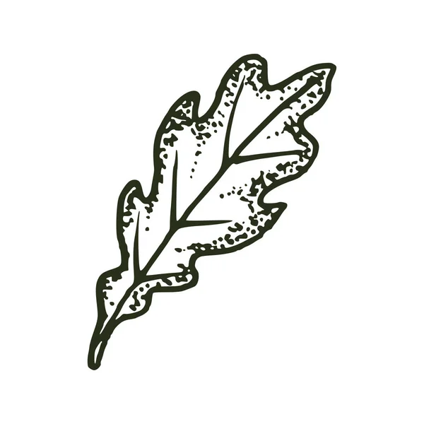 Природные тропические листья дуба векторный логотип иллюстрация EPS 10 — стоковый вектор
