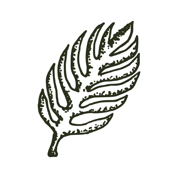 Природные тропические векторные векторные логотип иллюстрация EPS 10 — стоковый вектор