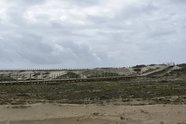 Protecao das Dunas_Protection Dunes — Stok fotoğraf