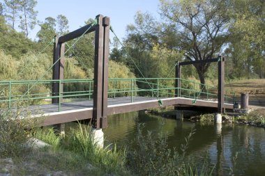 Ponte de Madeira_Wooden Bridge