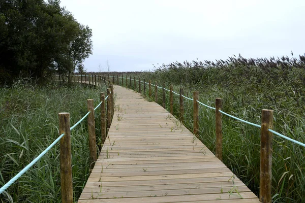 Korumalı doğa rezerv yaya köprüsü