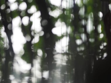 Işık dağılımı ve soyut arkaplan rengi Lens Flare Bokeh