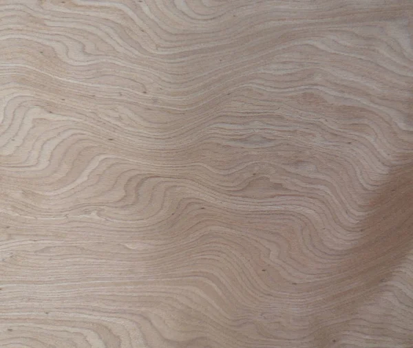 Veneer Burls Wood Pattern Brown Wooden Material Finish Surface Furniture — 스톡 사진