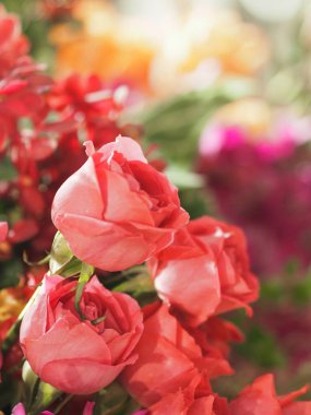 Kırmızı gül aranjmanı. Doğanın bulanık arkaplanındaki güzel buket. Sevgi dolu sevgililer günü doğada güzel.