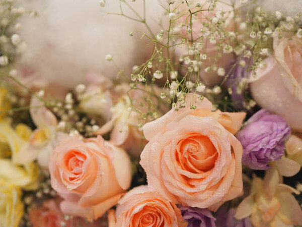 old rose color rose flower arrangement Beautiful bouquet on blurred of nature background symbol love Valentine 