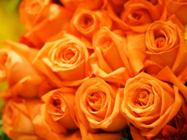 Turuncu, eski gül rengi çiçek aranjmanı. Doğanın bulanık arkaplan sembolü olan güzel buket. Sevgililer Günü aşkı.