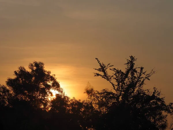 Árbol Silueta Naturaleza Fondos Cielo Nubes Amanecer Sol Está Brillando — Foto de Stock