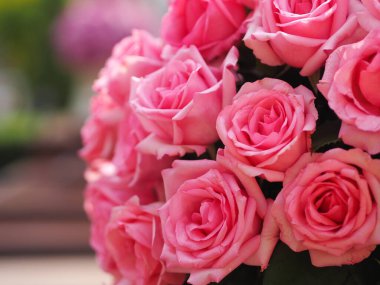 Pink rose flower arrangement Beautiful bouquet on blurred of background symbol love Valentine Day 