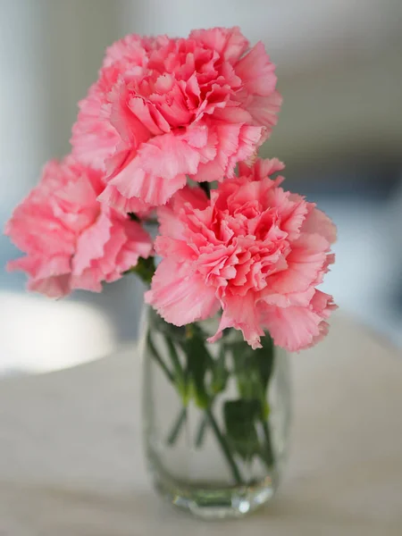 Ροζ Λουλούδι Γαρύφαλλο Ένα Ποτήρι Νερό Στο Μαρμάρινο Τραπέζι — Φωτογραφία Αρχείου