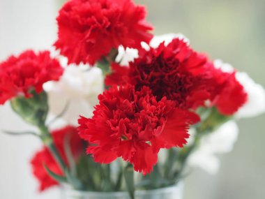 Karanfil çiçekleri, parlak kırmızı ve beyaz katmanlar, masaya yerleştirilmiş temiz su bardağına işlenmiş.