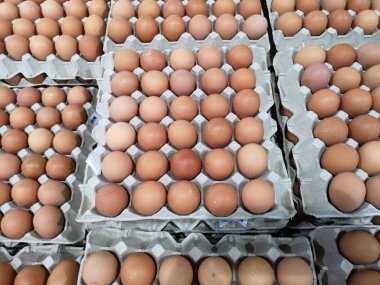 Kağıt tepside taze yumurta istiflenir.