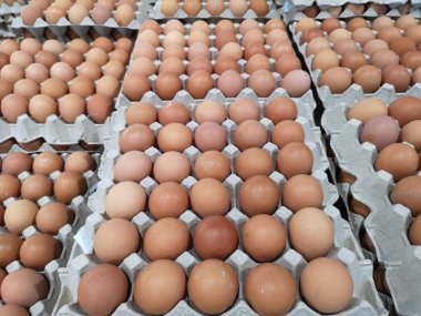 Kağıt tepside taze yumurta istiflenir.